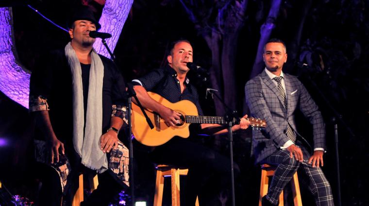 Fiestas Ntra. Sra. de Las Nieves 2019