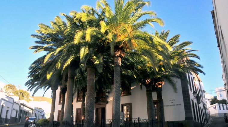 Fiestas Ntra. Sra. de Las Nieves 2019